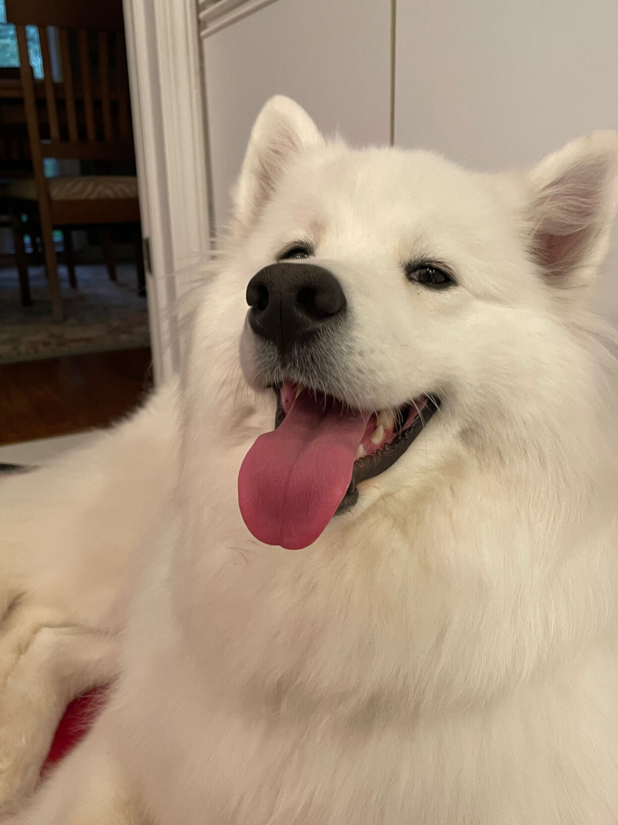 harper
